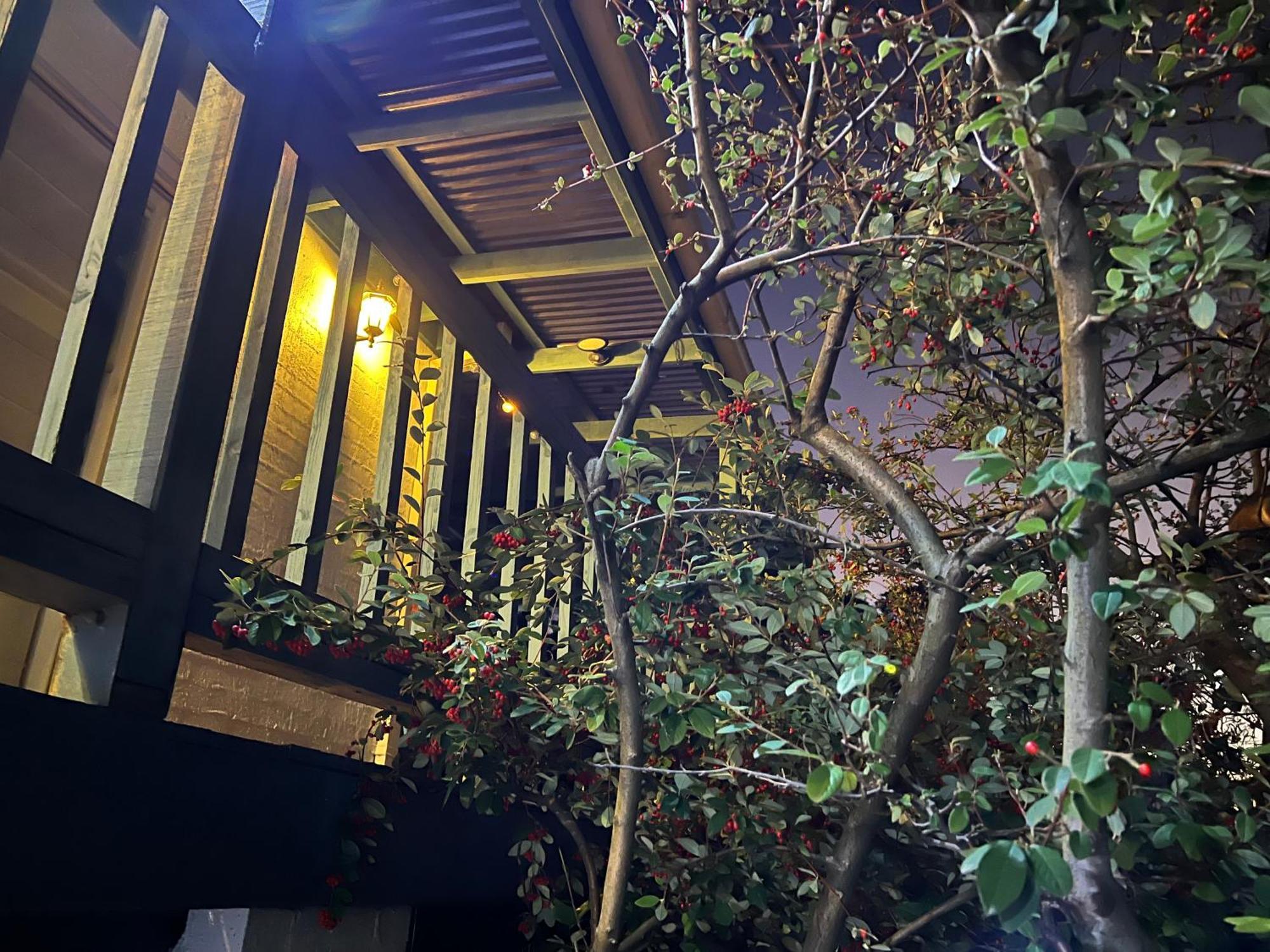 ライ Nest On A Crestヴィラ エクステリア 写真