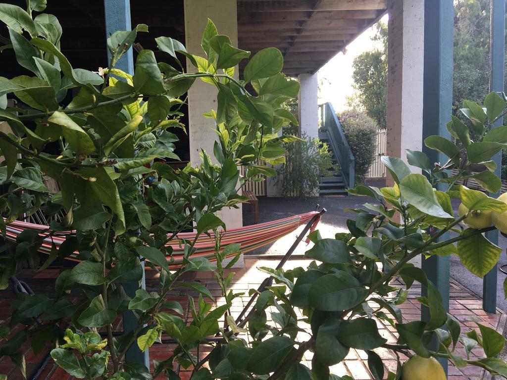 ライ Nest On A Crestヴィラ エクステリア 写真